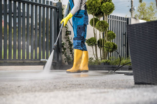 Best Roof Washing  in Middlebury, IN