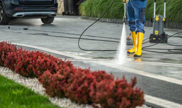 Best Driveway Pressure Washing  in Middlebury, IN