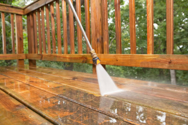 Animal Enclosure Cleaning in Middlebury, IN